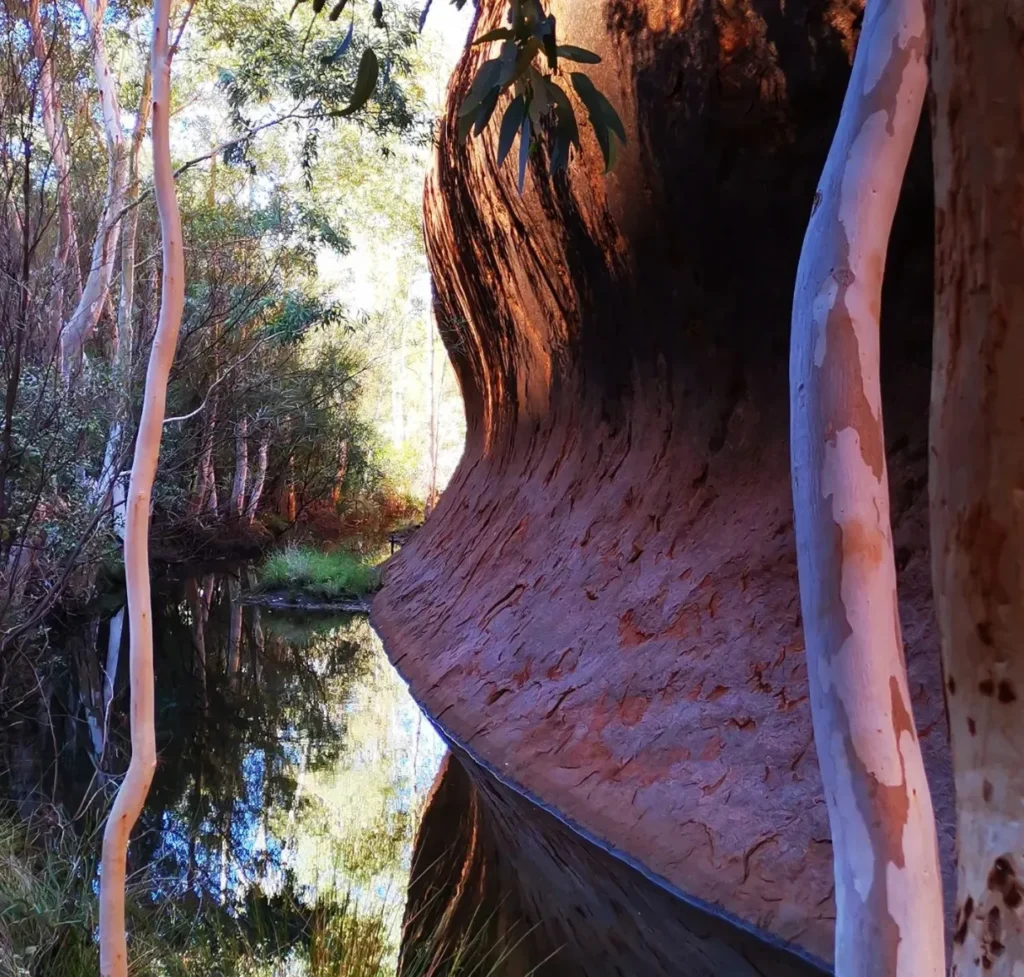 Mutitjulu Waterhole